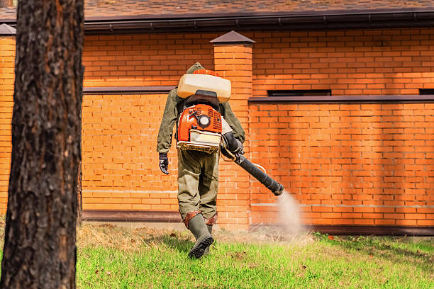 Trusted Mosquito Control service in Cross Plains, TN - Nex Pest Control